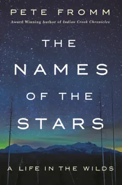 the names of the stars book cover image