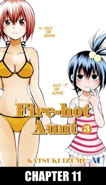 fire-hot aunt chapter 11 book cover image