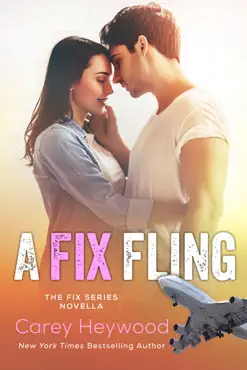 a fix fling book cover image