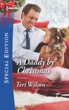 A Daddy by Christmas book summary, reviews and downlod