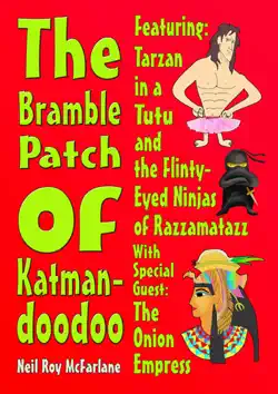 the bramble patch of katmandoodoo book cover image
