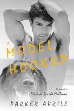 a model hookup book cover image