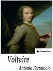 Voltaire sinopsis y comentarios