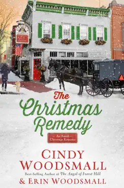 the christmas remedy book cover image
