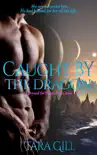 Caught By The Dragon: Dragonhaeme book summary, reviews and download