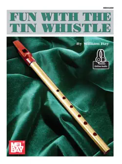fun with the tin whistle book cover image