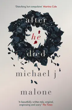 after he died book cover image