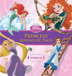 disney princess: princess adventure tales book cover image