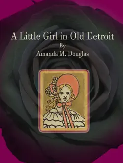 a little girl in old detroit book cover image