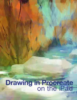 drawing in procreate imagen de la portada del libro