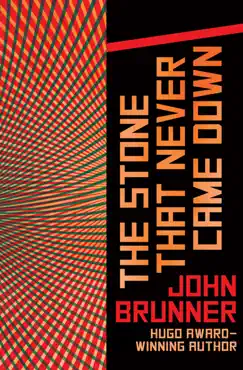 the stone that never came down book cover image