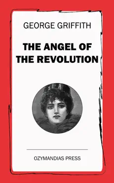 the angel of the revolution book cover image