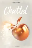 Chattel synopsis, comments