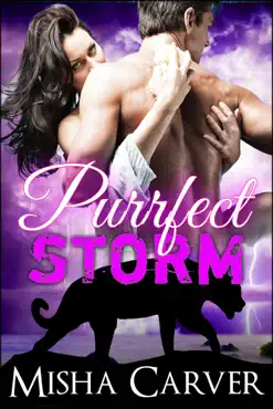 purrfect storm book cover image