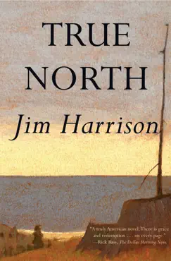 true north book cover image