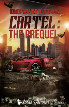 down low cartel book cover image