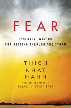 fear imagen de la portada del libro