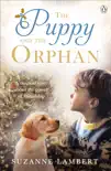 The Puppy and the Orphan synopsis, comments