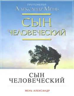 Сын Человеческий book cover image