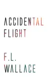 Accidental Flight synopsis, comments