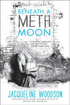 beneath a meth moon book cover image
