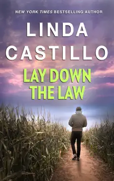 lay down the law book cover image