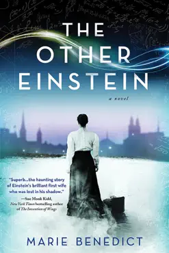 the other einstein book cover image