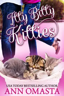 itty bitty kitties book cover image