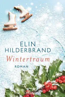 wintertraum book cover image
