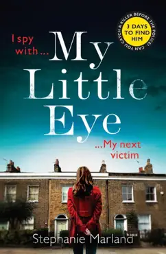 my little eye book cover image