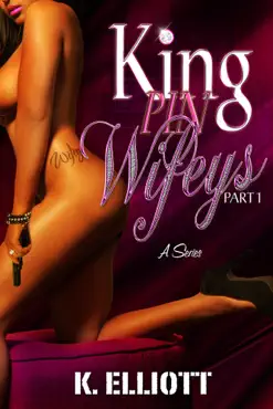 kingpin wifeys part 1 book cover image