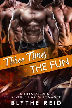 three times the fun book cover image