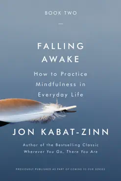 falling awake book cover image