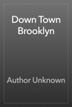 Down Town Brooklyn book summary, reviews and download