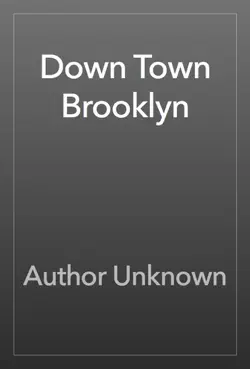 down town brooklyn book cover image