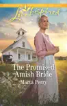 The Promised Amish Bride synopsis, comments