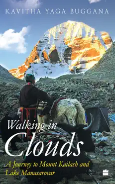 walking in clouds book cover image
