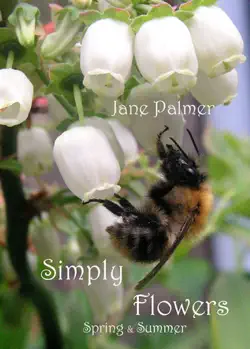 simply flowers, spring and summer book cover image