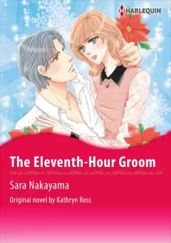 the eleventh-hour groom book cover image