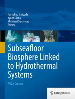 subseafloor biosphere linked to hydrothermal systems book cover image