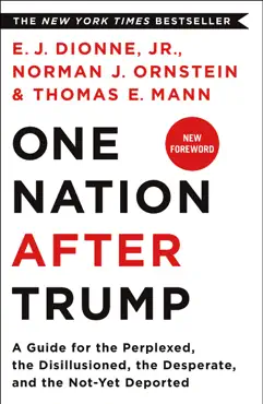 one nation after trump book cover image