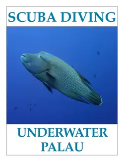 scuba diving - underwater palau book cover image