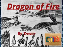 dragon of fire book cover image