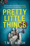 Pretty Little Things synopsis, comments