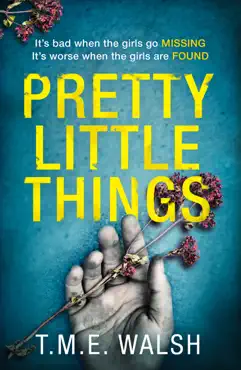 pretty little things book cover image