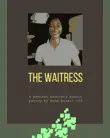 The Waitress synopsis, comments