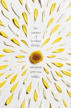 the summer of broken things book cover image