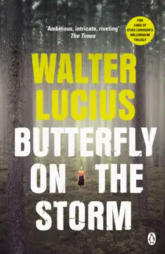 butterfly on the storm imagen de la portada del libro