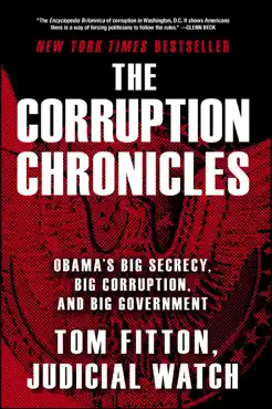 the corruption chronicles book cover image