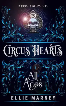 all aces book cover image